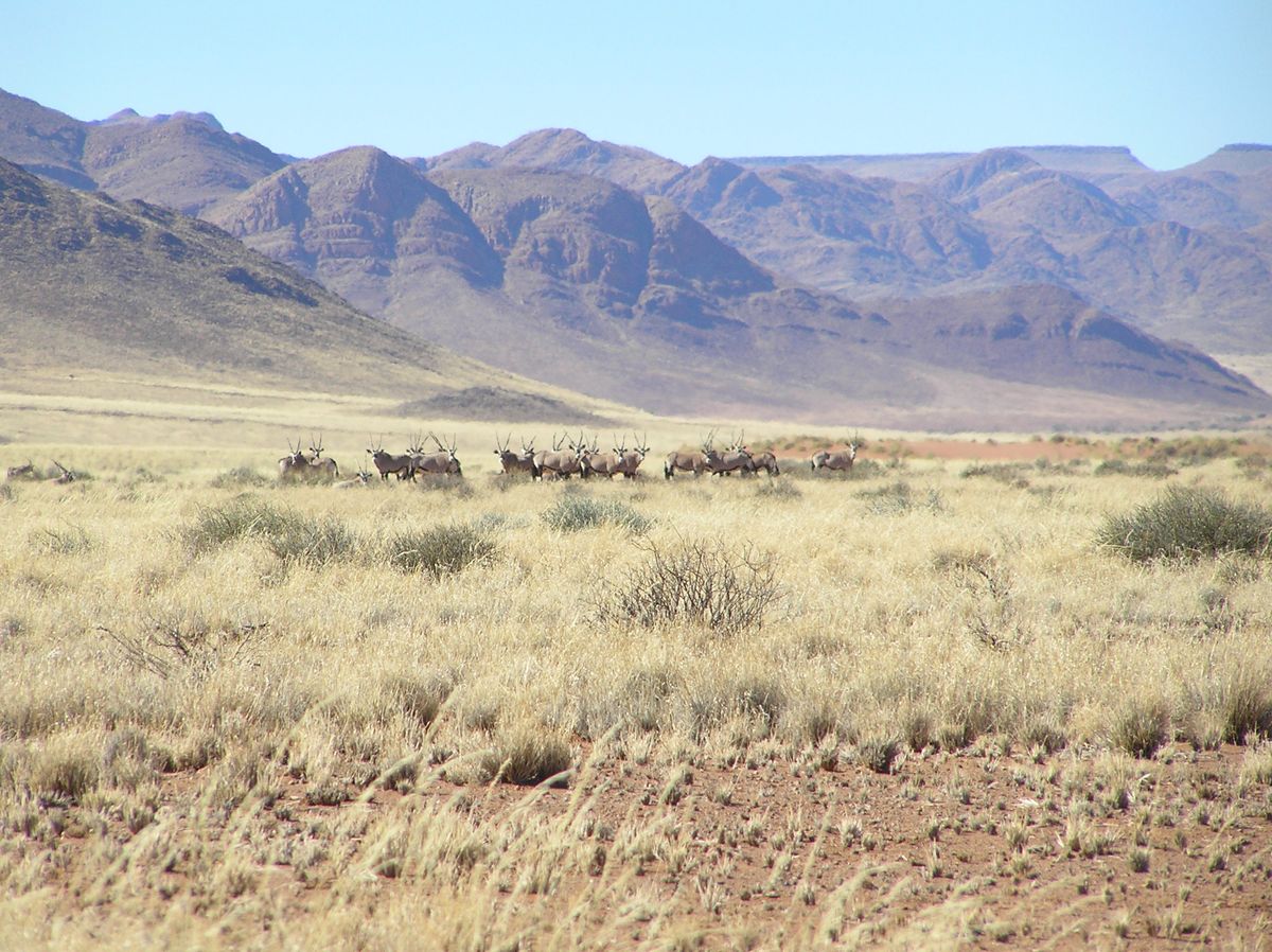Namibia mit Kindern