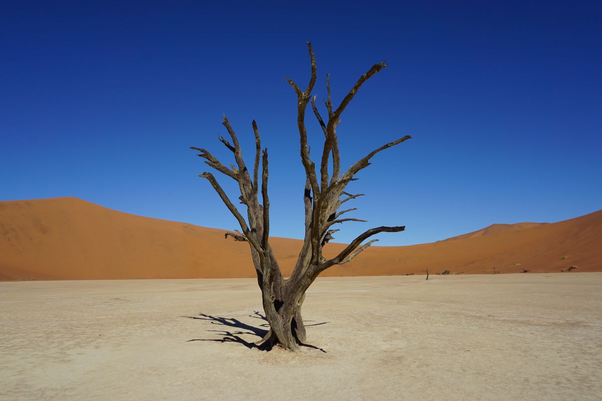 Namib Naukluft Park