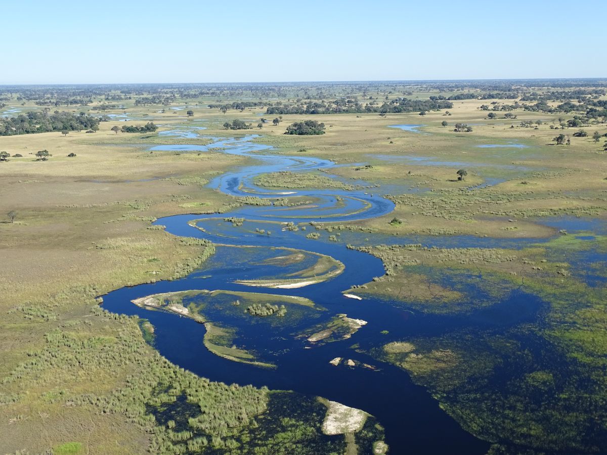 Wings over Botswana