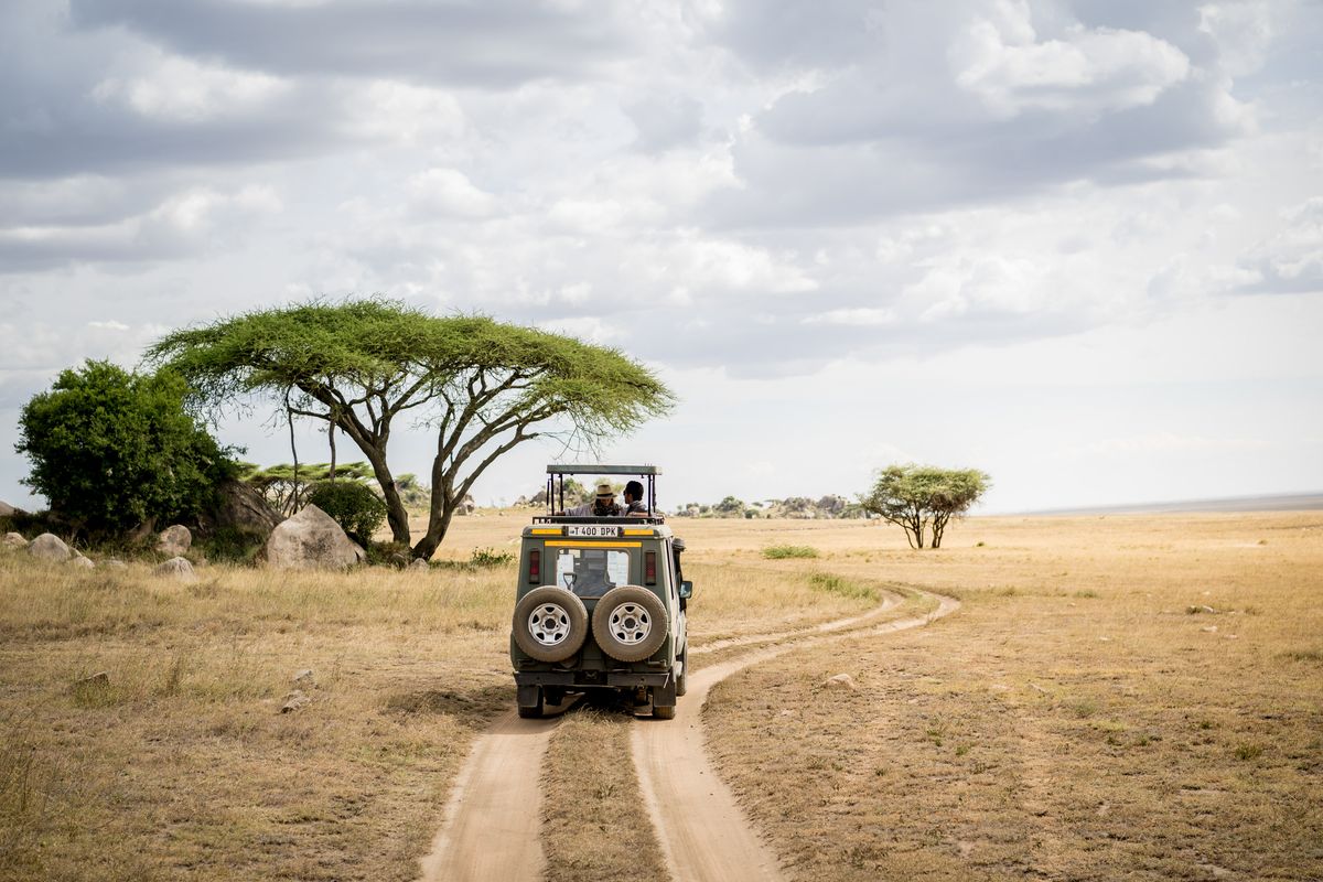 Tanzania - Tanganyika Busch Safari