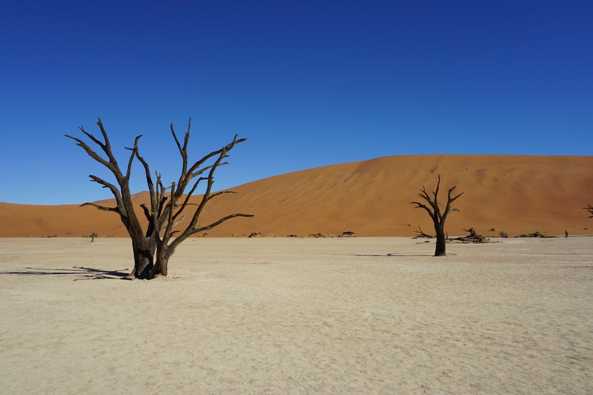 Namibia & Kgalagadi - Wüstenoasen und Wildnis