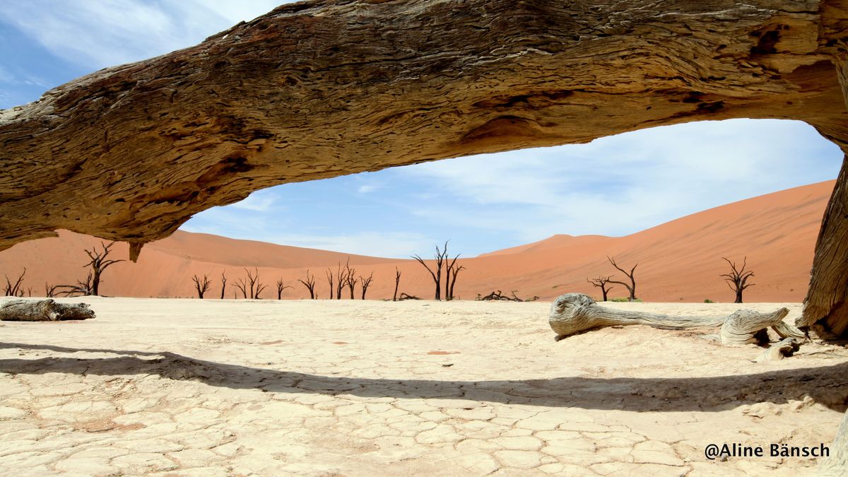 Best of Namibia