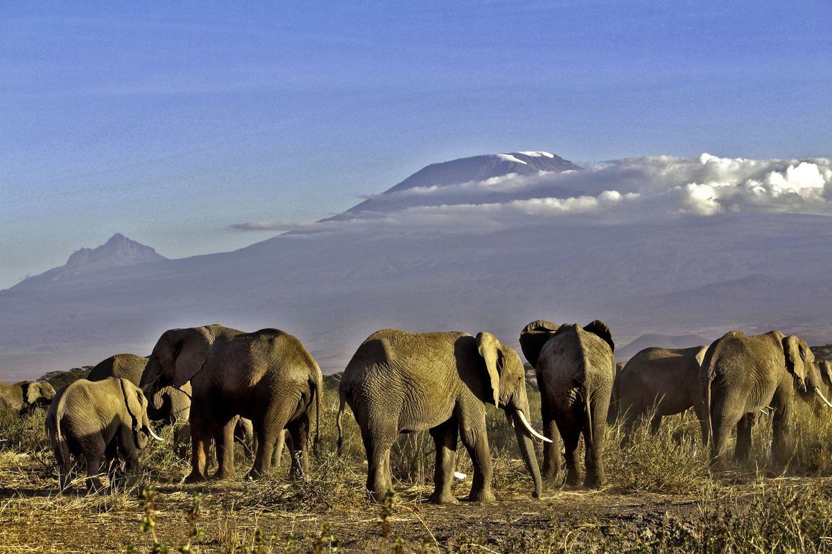 Amboseli Nationalpark