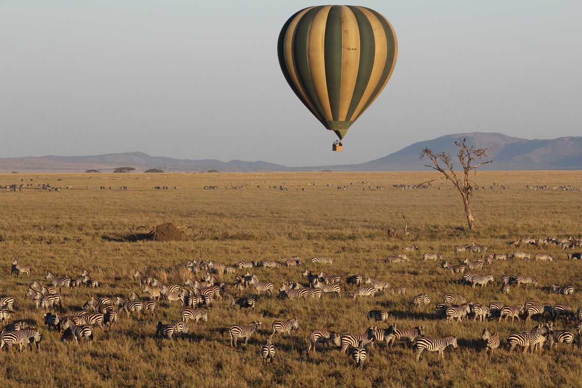 Serengeti Nationalpark